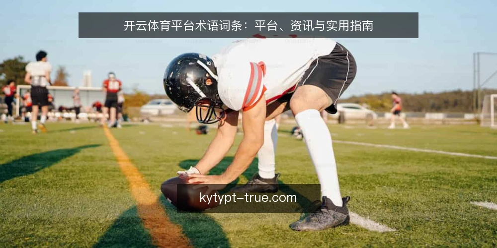 开云体育平台术语词条：平台、资讯与实用指南 — 开云体育平台是什么：术语定义 配图