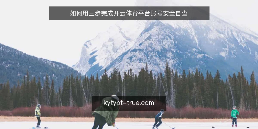 如何用三步完成开云体育平台账号安全自查 — 准备：整理账号信息与设备 配图