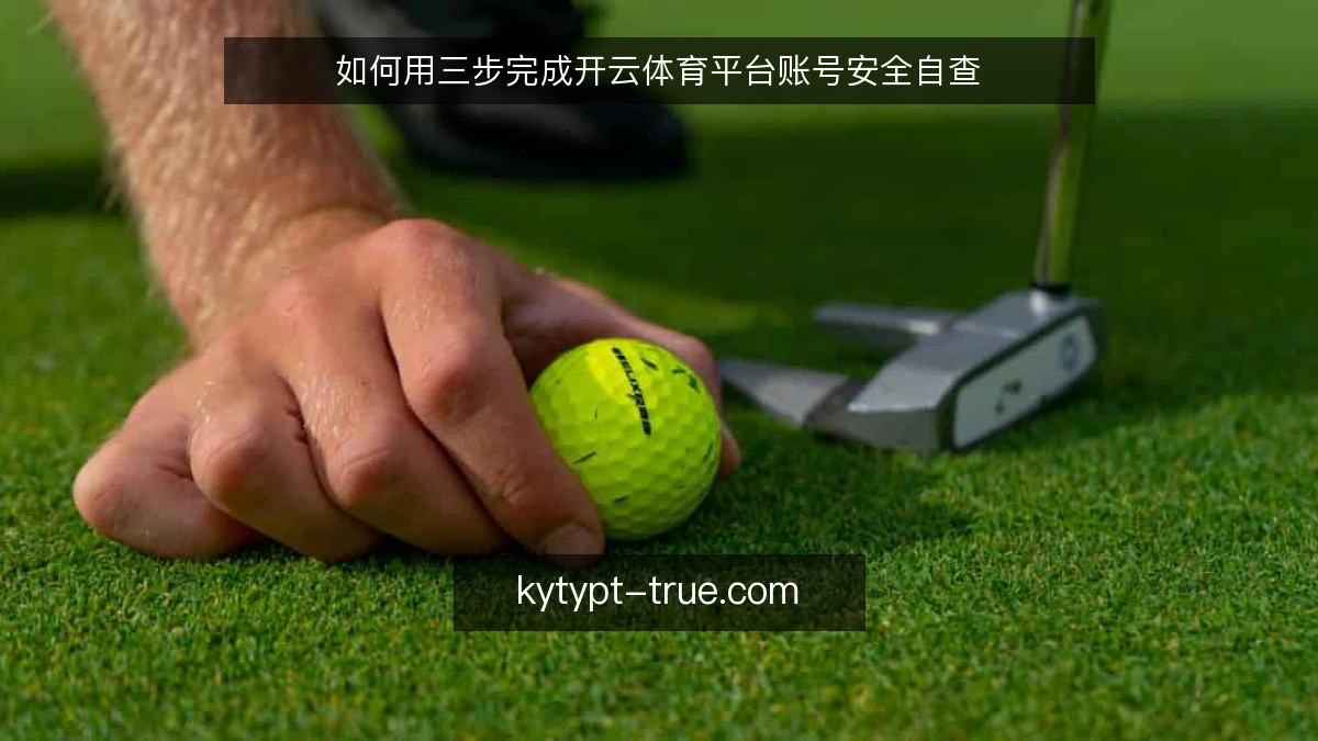 如何用三步完成开云体育平台账号安全自查