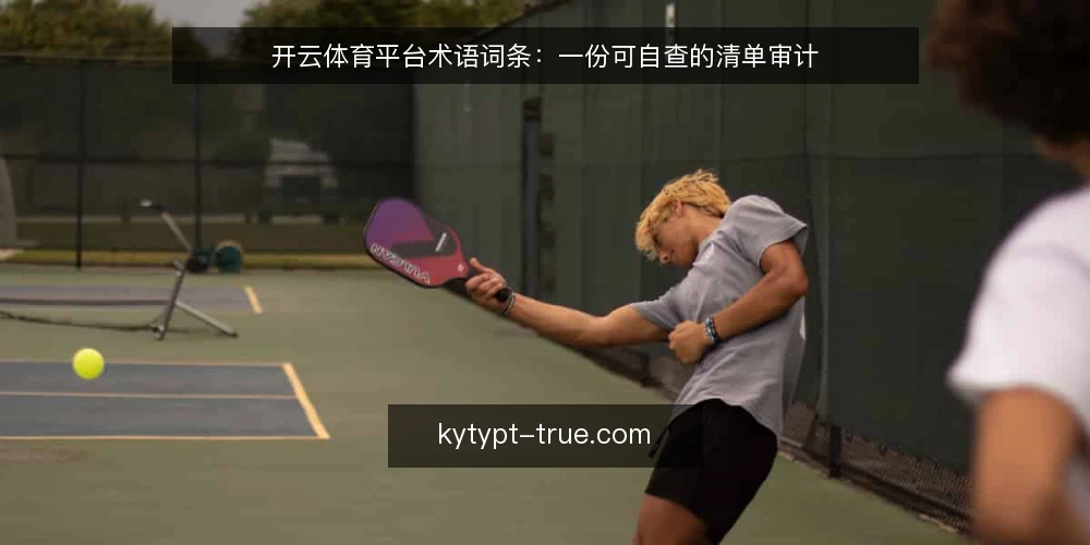 开云体育平台术语词条:一份可自查的清单审计 — 为什么现在要做这份术语审计 配图